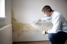 Why you should choose our mold remedi tion services in #city